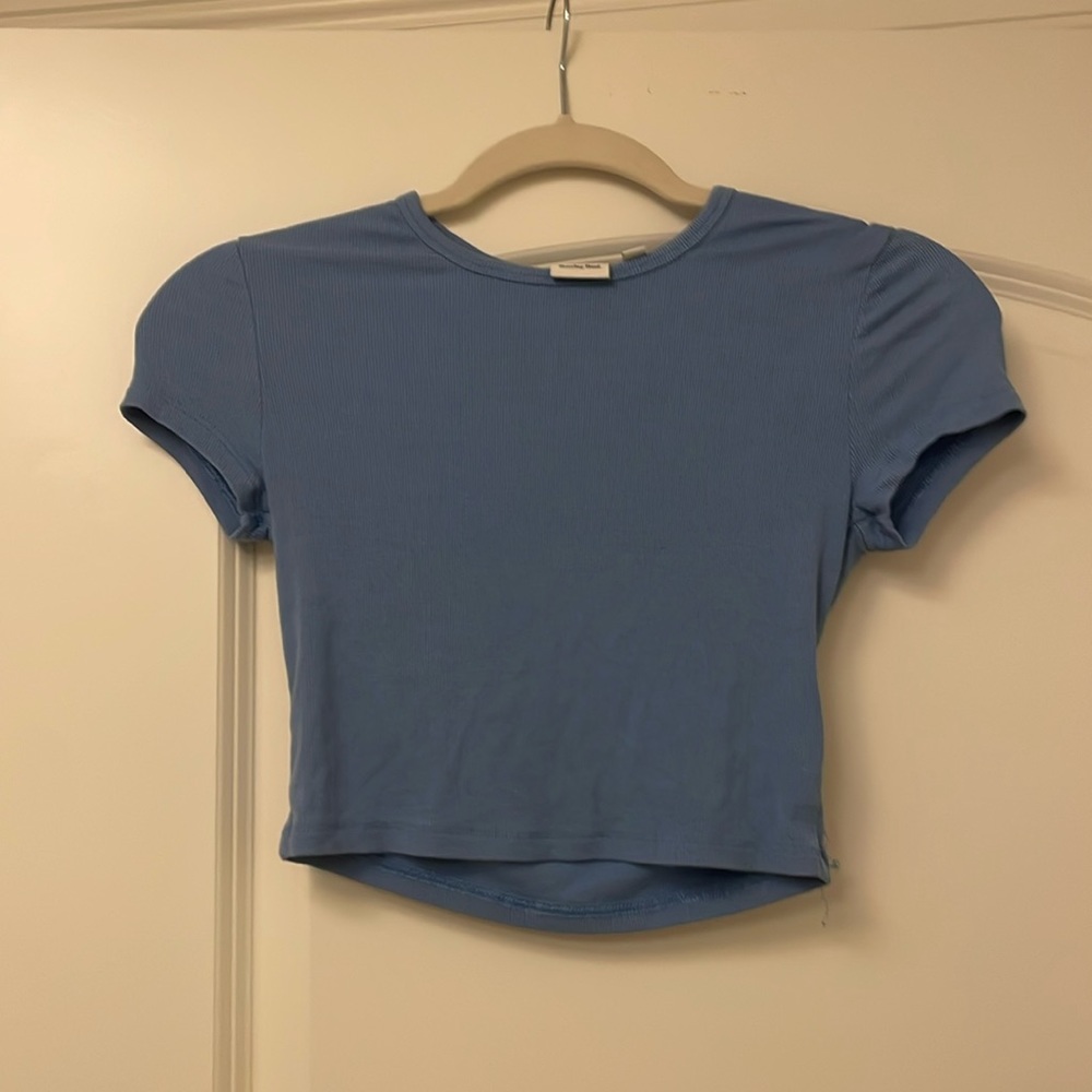 Aritzia Sunday Best Cropped Ribbed Tee in Blue